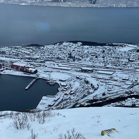 Апартаменты Narvik Sentrum Экстерьер фото